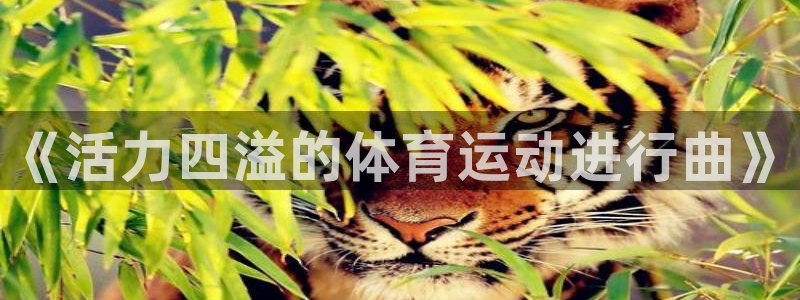 JJB竞技宝官网下载平台是正规平台吗:《活力四溢的体育运动进